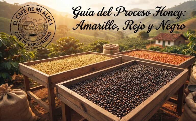 Guía del Proceso Honey Amarillo, Rojo y Negro