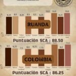 PUNTUACION blend cafe RUANDA + COLOMBIA
