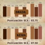 blend cafe brasil y kenia