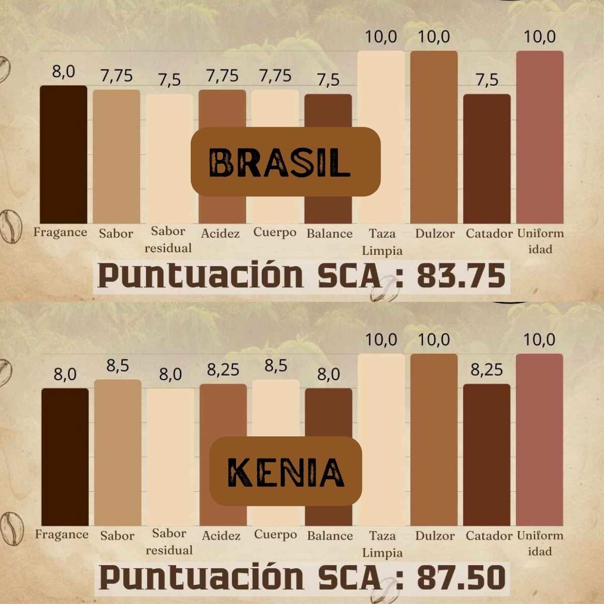 blend cafe brasil y kenia